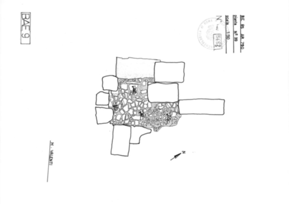 Roma, Foro Romano. Basilica Emilia; Argileto; Foro di Cesare;  Vicus Iani