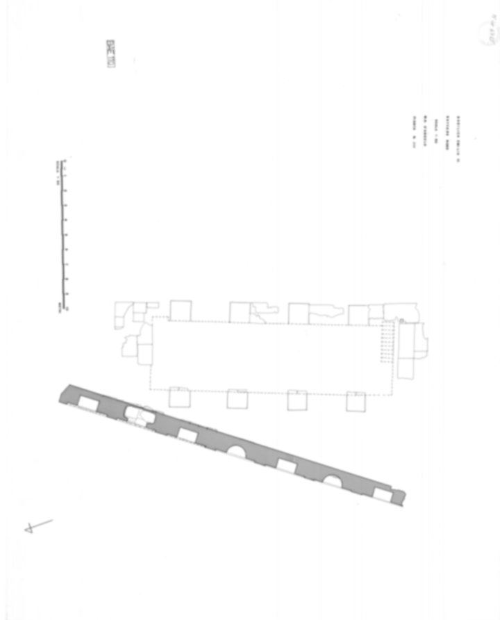 Roma, Foro Romano. Basilica Emilia; Argileto; Foro di Cesare;  Vicus Iani