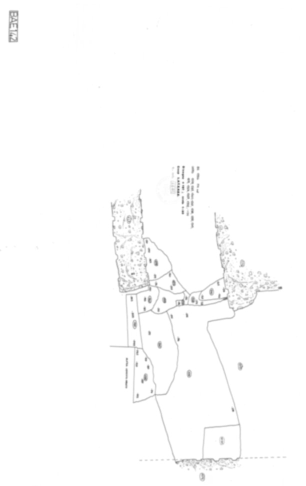 Roma, Foro Romano. Basilica Emilia; Argileto; Foro di Cesare;  Vicus Iani