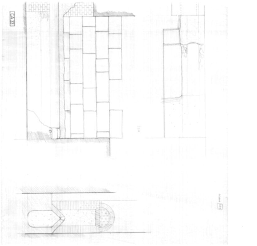 Roma, Palatino. Complesso augusteo. Casa di Augusto, Biblioteche