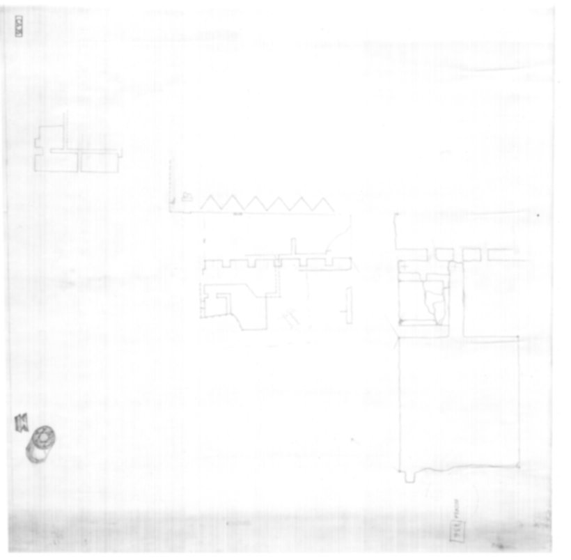 CA35 - Roma, Palatino. Complesso augusteo. Casa di Augusto, Biblioteche