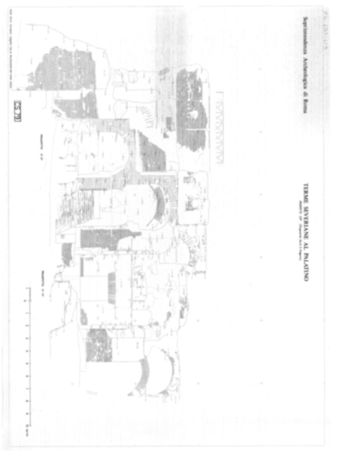 Roma, Palatino. Complesso severiano. Terme severiane