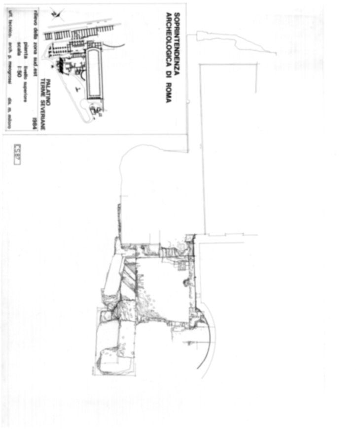 Roma, Palatino. Complesso severiano. Domus Severiana