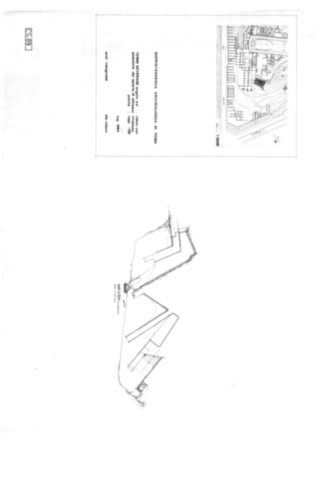Roma, Palatino. Complesso severiano. Domus Severiana