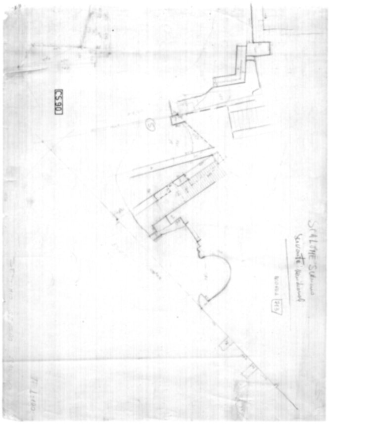 Roma, Palatino. Complesso severiano. Domus Severiana