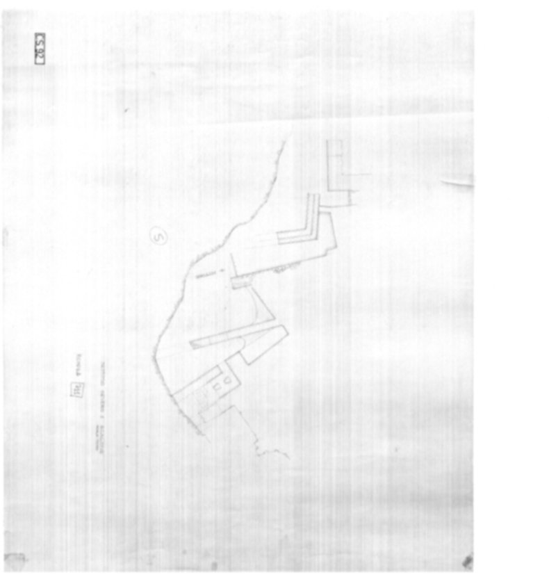 Roma, Palatino. Complesso severiano. Domus Severiana