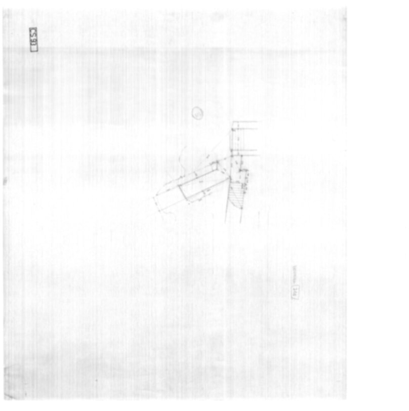 Roma, Palatino. Complesso severiano. Domus Severiana