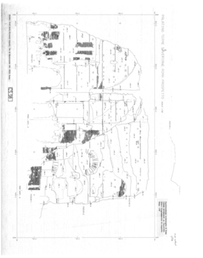 Roma, Palatino. Complesso severiano. Terme severiane