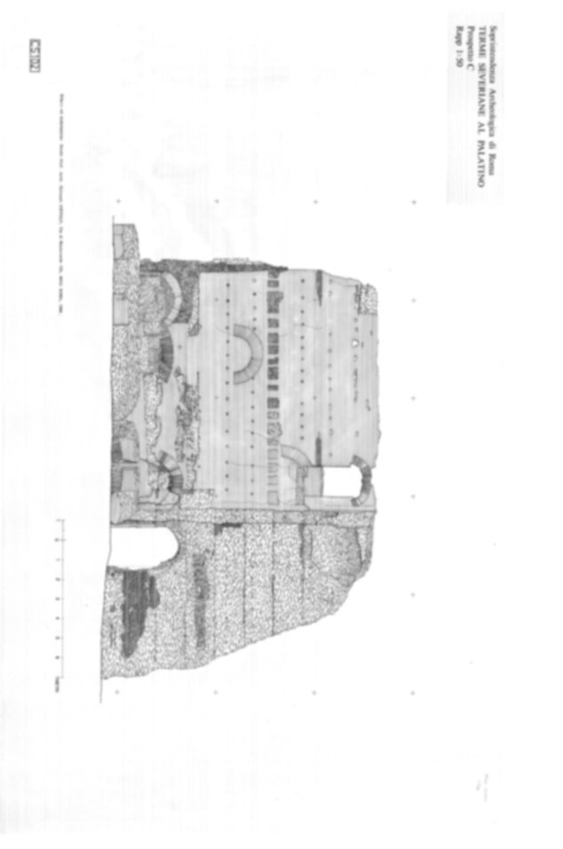 Roma, Palatino. Complesso severiano. Terme severiane