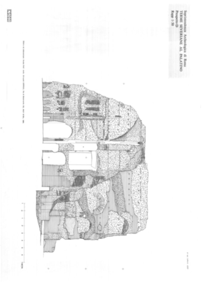 Roma, Palatino. Complesso severiano. Terme severiane