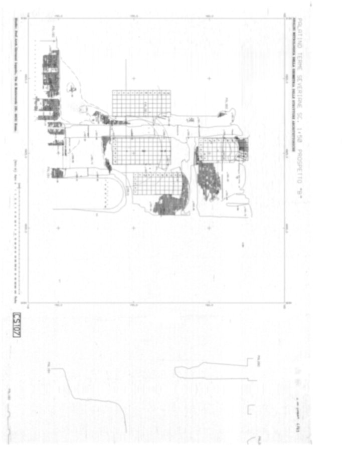 Roma, Palatino. Complesso severiano. Terme severiane