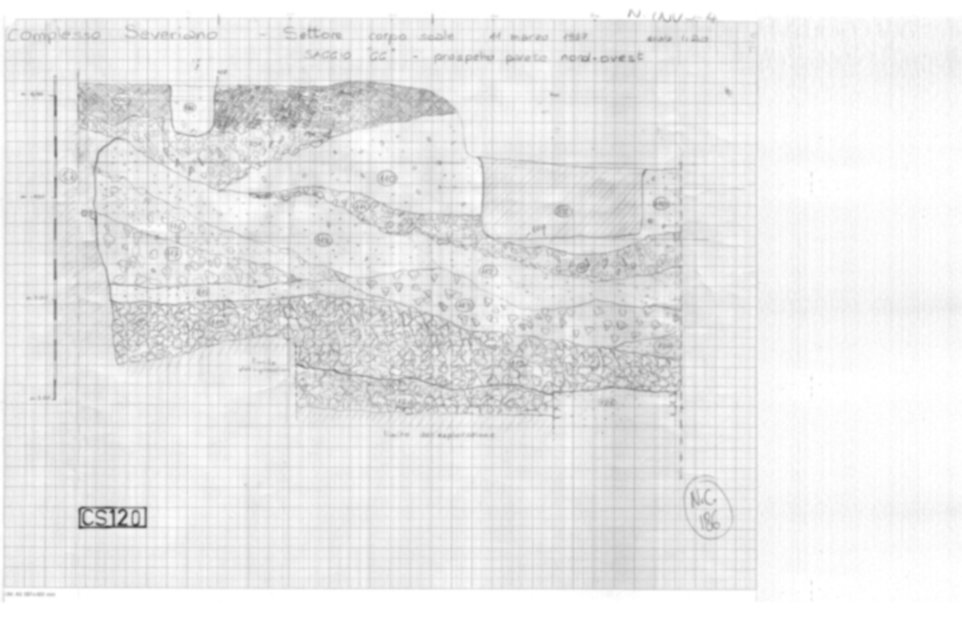 Roma, Palatino. Complesso severiano. Domus Severiana