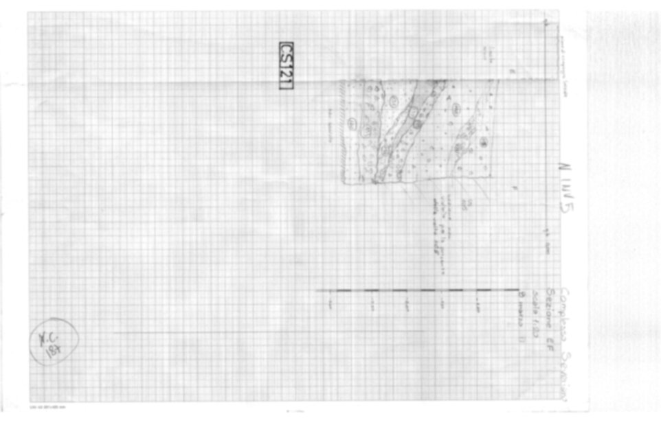 Roma, Palatino. Complesso severiano. Domus Severiana