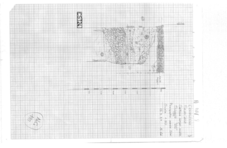 Roma, Palatino. Complesso severiano. Domus Severiana