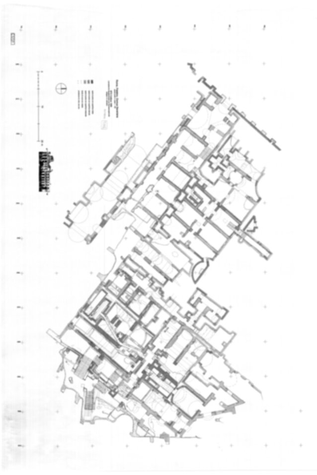 Roma, Palatino. Complesso severiano. Domus Severiana