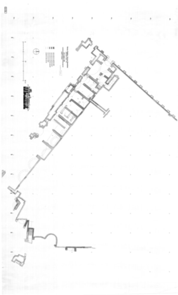 Roma, Palatino. Complesso severiano. Domus Severiana