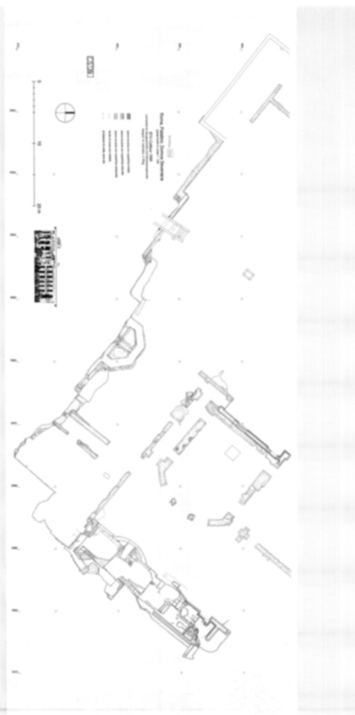 Roma, Palatino. Complesso severiano. Domus Severiana