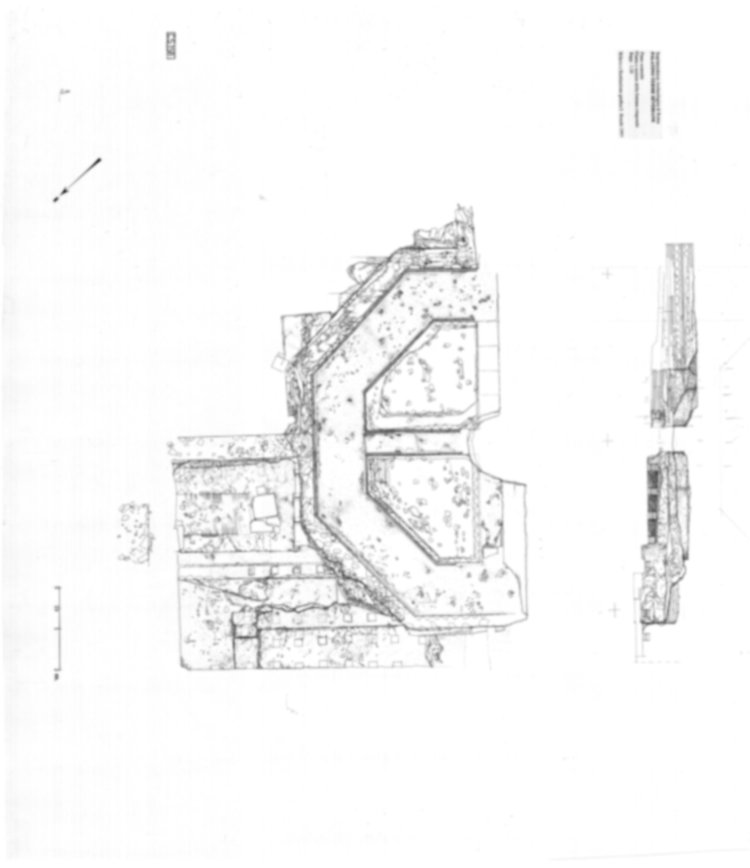 CS158 - Roma, Palatino. Complesso severiano. Terme severiane