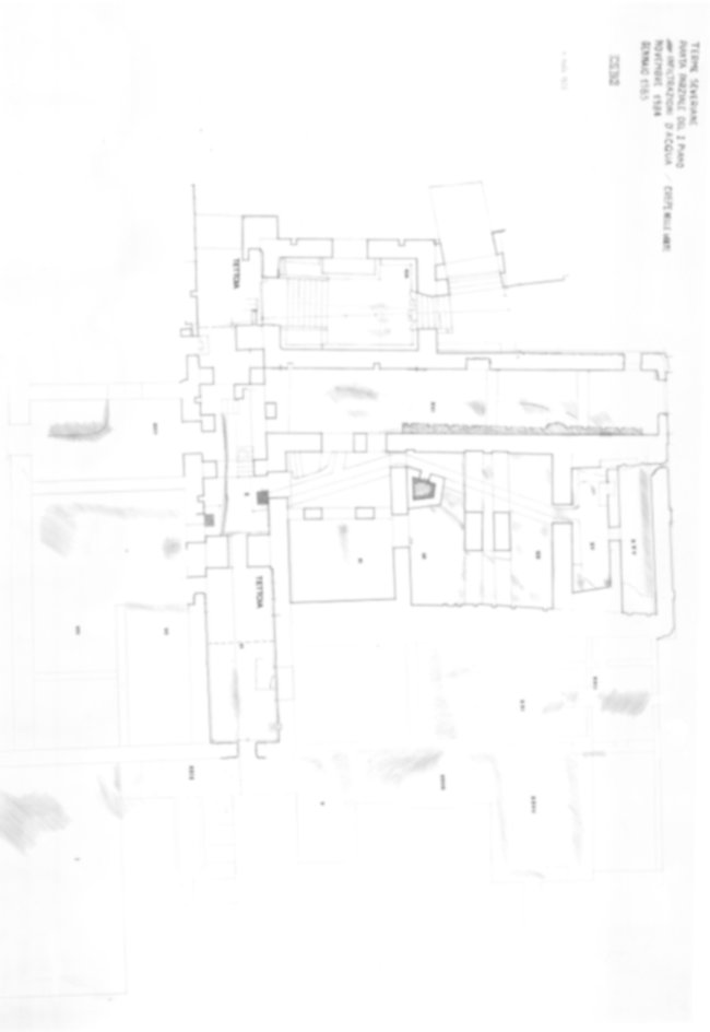 Roma, Palatino. Complesso severiano. Terme severiane