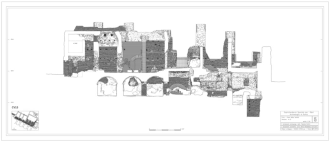 CV15 - Roma, Foro Romano. Casa delle Vestali