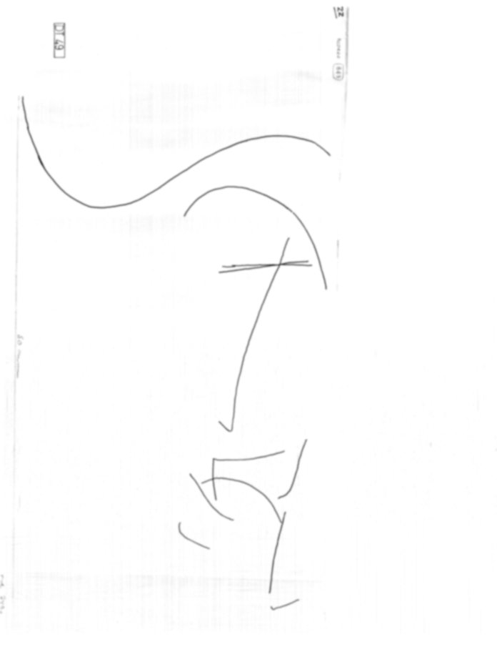 Roma, Palatino. Domus Tiberiana - Graffiti