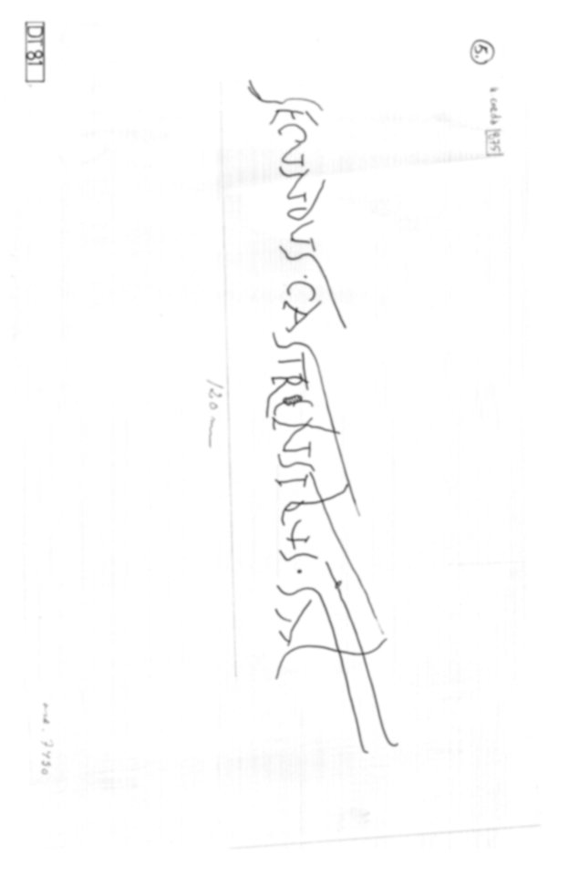 Roma, Palatino. Domus Tiberiana - Graffiti