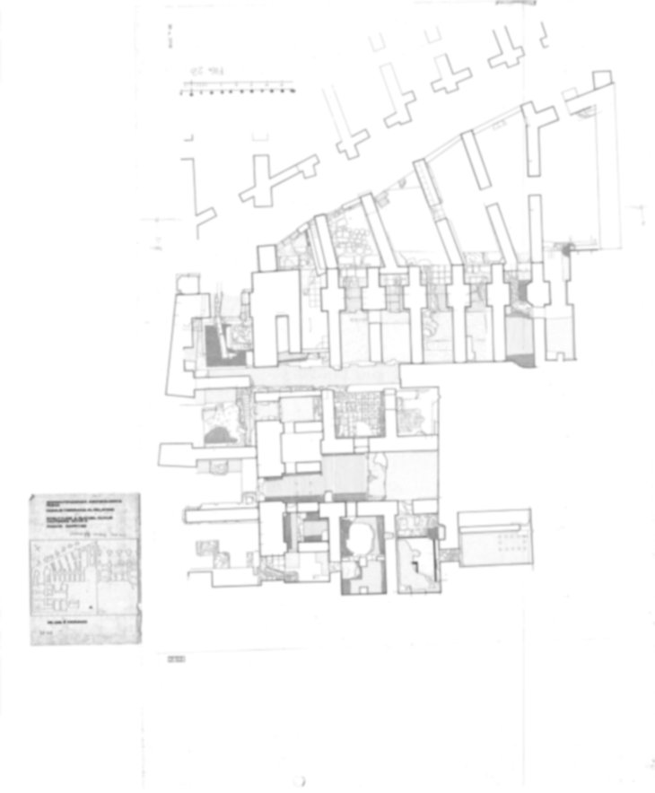 Roma, Palatino. Domus Tiberiana - Settore 9, 13
