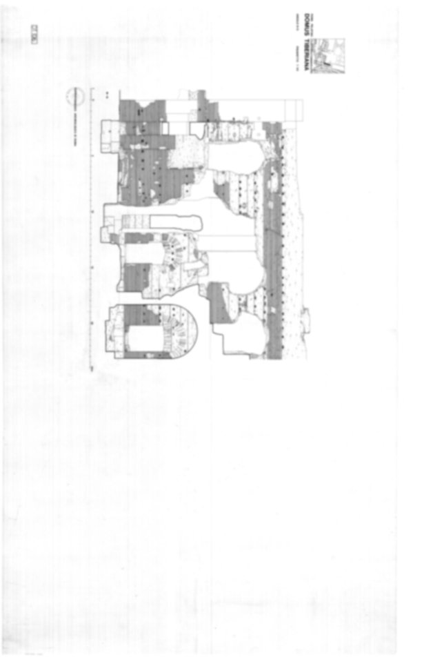Roma, Palatino. Domus Tiberiana - Settore 9