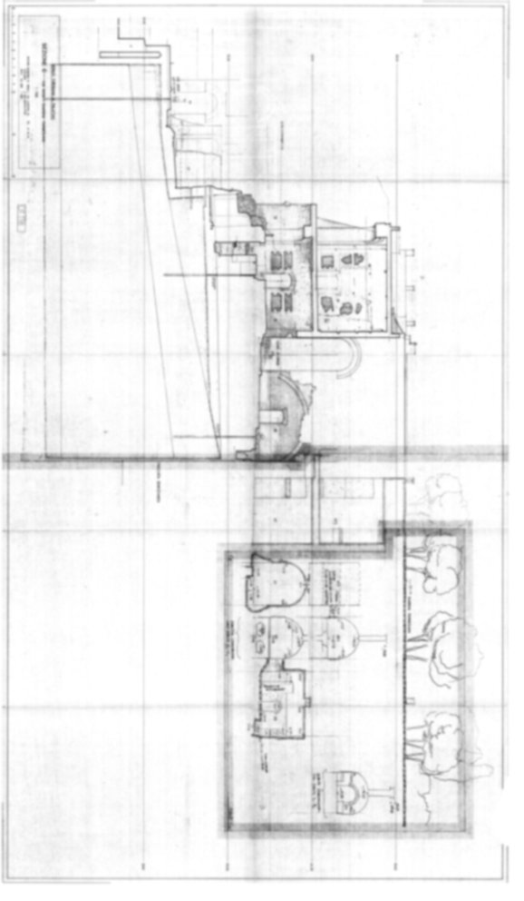 Roma, Palatino. Domus Tiberiana - Settore 9, 13