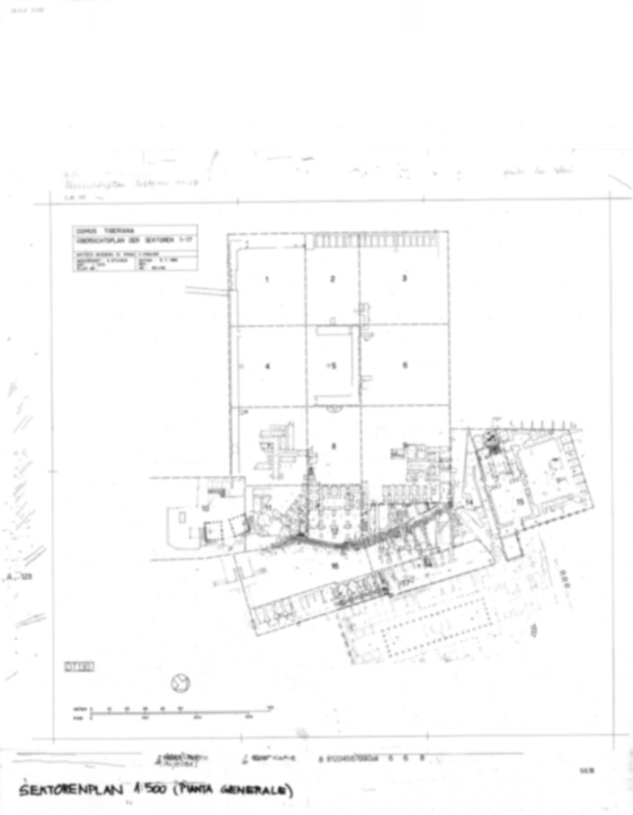 DT130 - Roma, Palatino. Domus Tiberiana