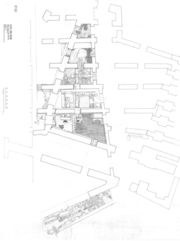 3805 - Roma, Palatino. Domus Tiberiana - Settore 13