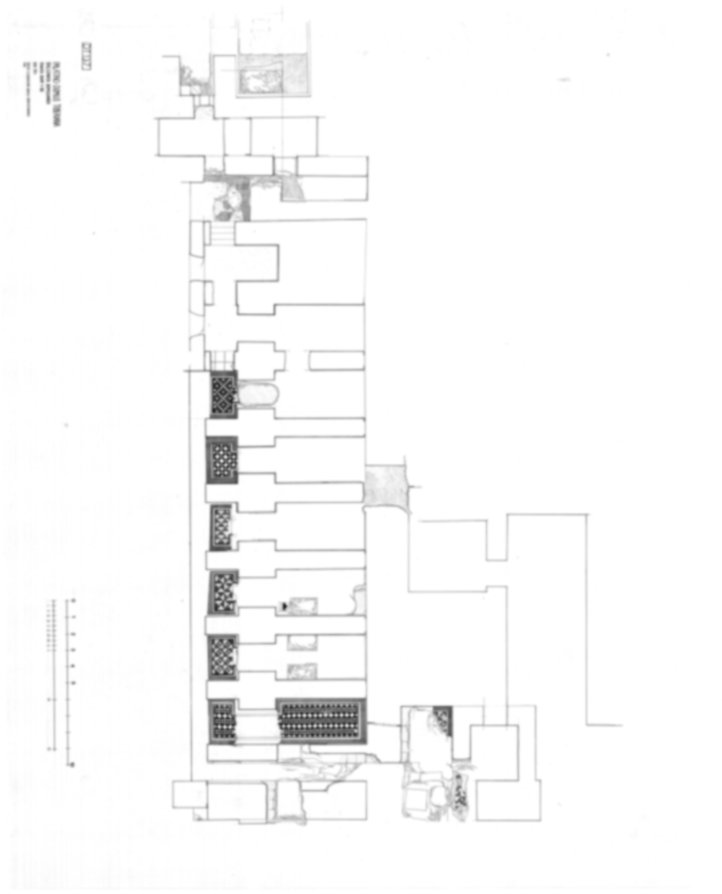 3806 - Roma, Palatino. Domus Tiberiana - Settore 9