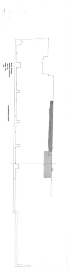 Roma, Palatino. Domus Tiberiana; Bastione Farnesiano