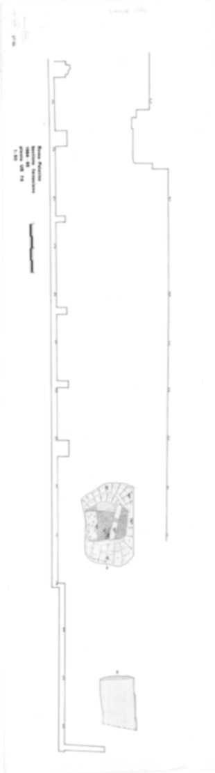 Roma, Palatino. Domus Tiberiana; Bastione Farnesiano