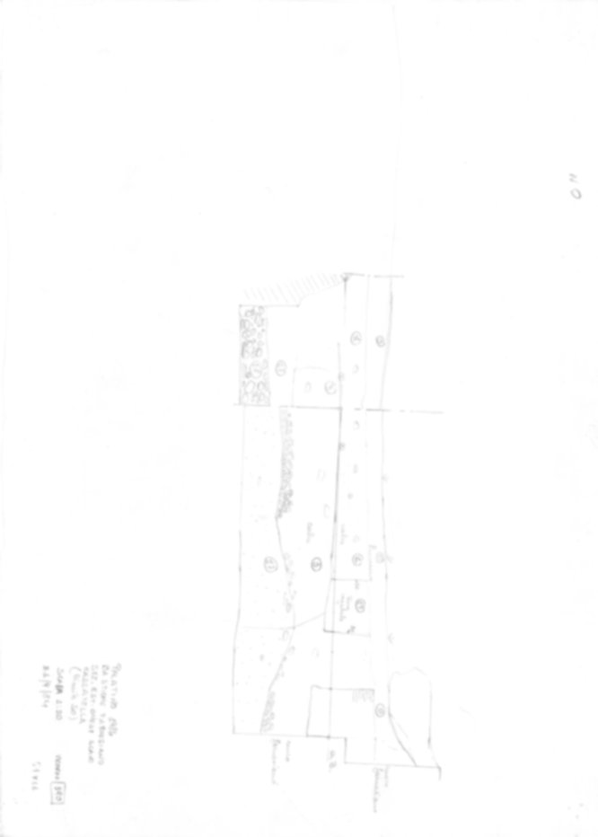Roma, Palatino. Domus Tiberiana