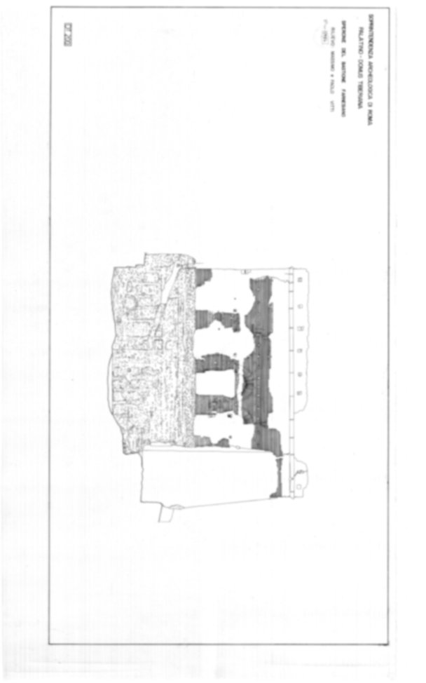 Roma, Palatino. Domus Tiberiana