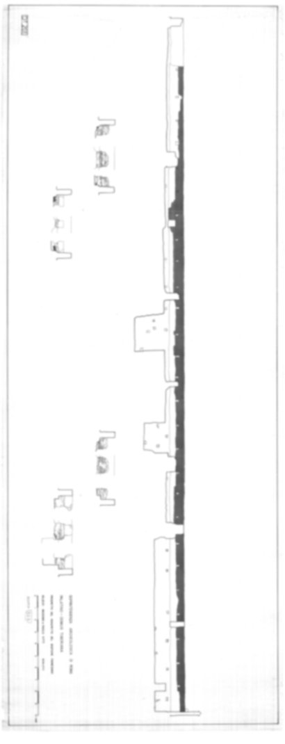 Roma, Palatino. Domus Tiberiana - Settore 9; Orti Farnesiani, Bastione Farnesiano
