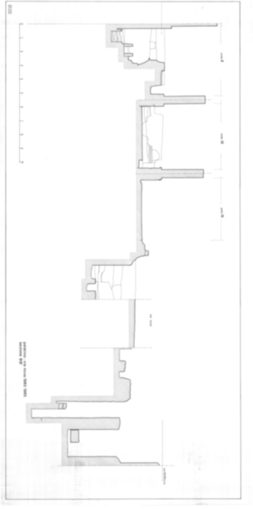 Roma, Palatino. Domus Tiberiana - Settore 20; Clivo Palatino; Via Nova