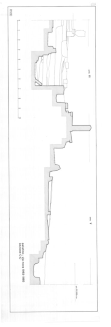 Roma, Palatino. Domus Tiberiana - Settore 20; Clivo Palatino; Via Nova