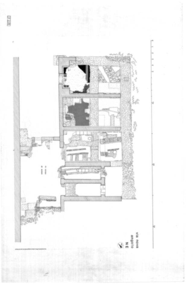 Roma, Palatino. Domus Tiberiana - Settore 20; Clivo Palatino; Via Nova 