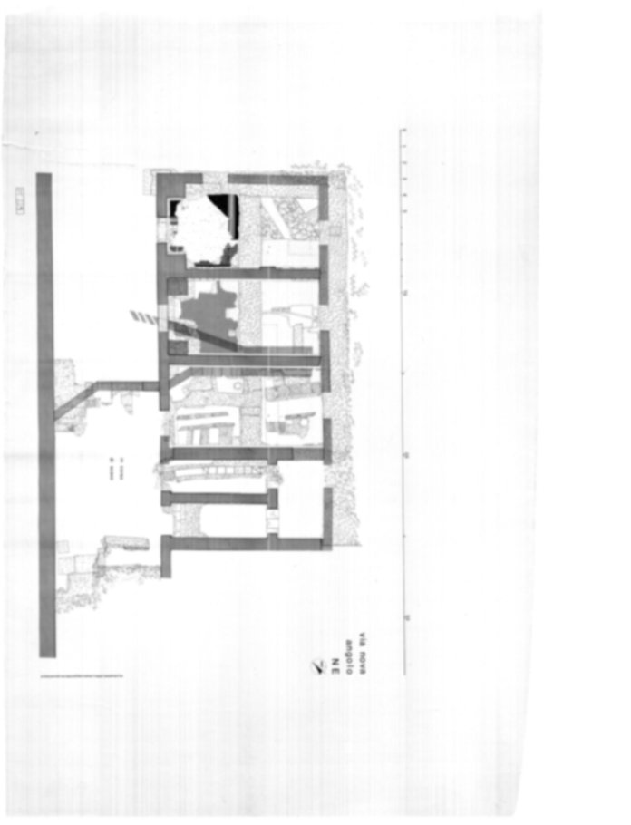 Roma, Palatino. Domus Tiberiana - Settore 20; Clivo Palatino; Via Nova 