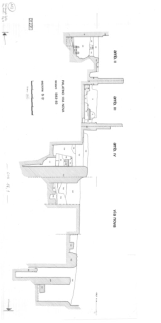 Roma, Palatino. Domus Tiberiana - Settore 20; Clivo Palatino; Via Nova