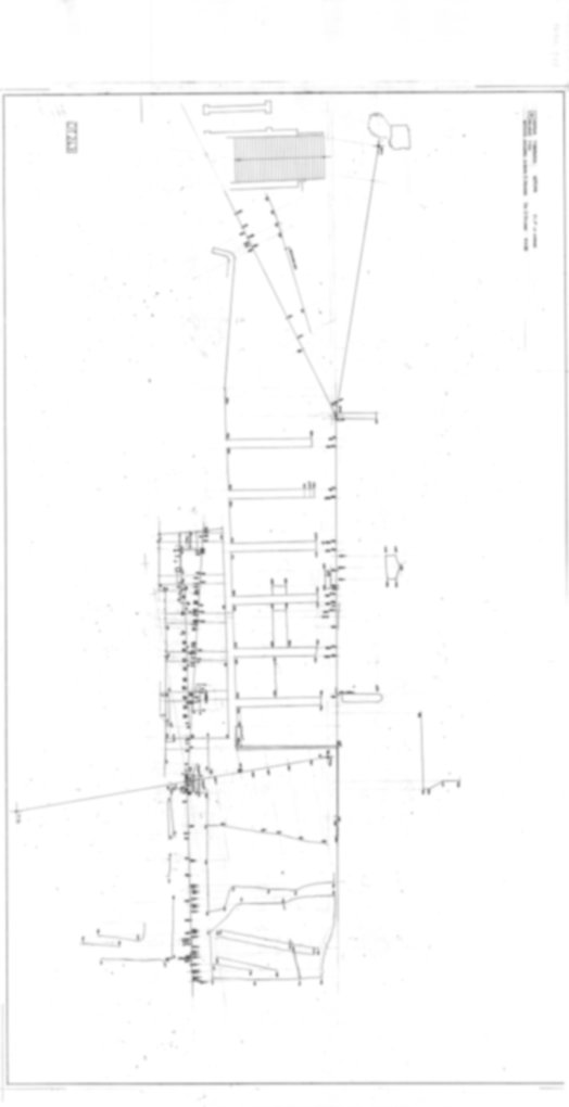 Roma, Palatino. Domus Tiberiana