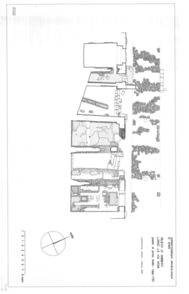 Roma, Palatino. Domus Tiberiana - Settore 19; Via Nova