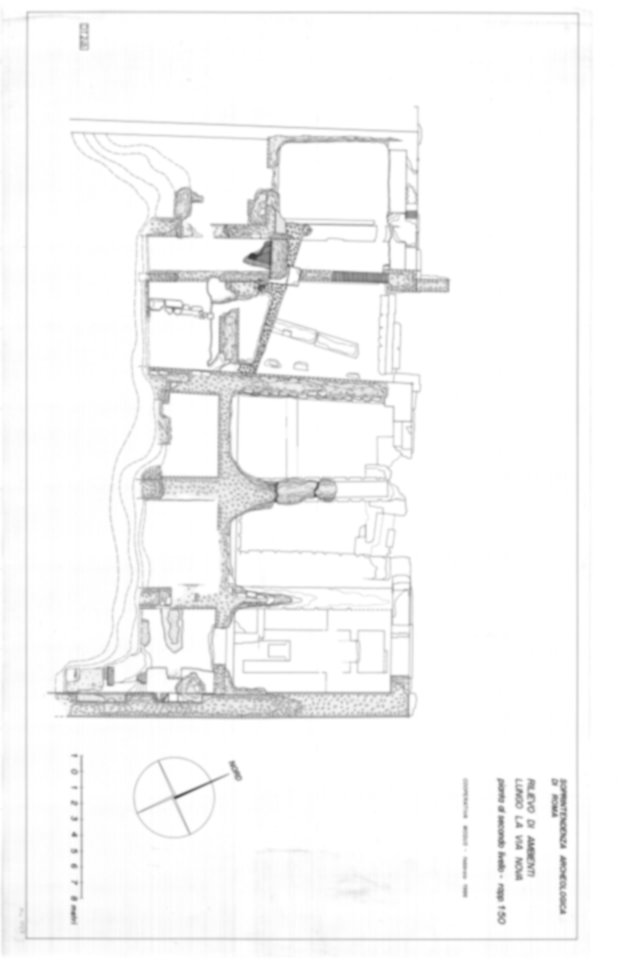 Roma, Palatino. Domus Tiberiana - Settore 19; Via Nova
