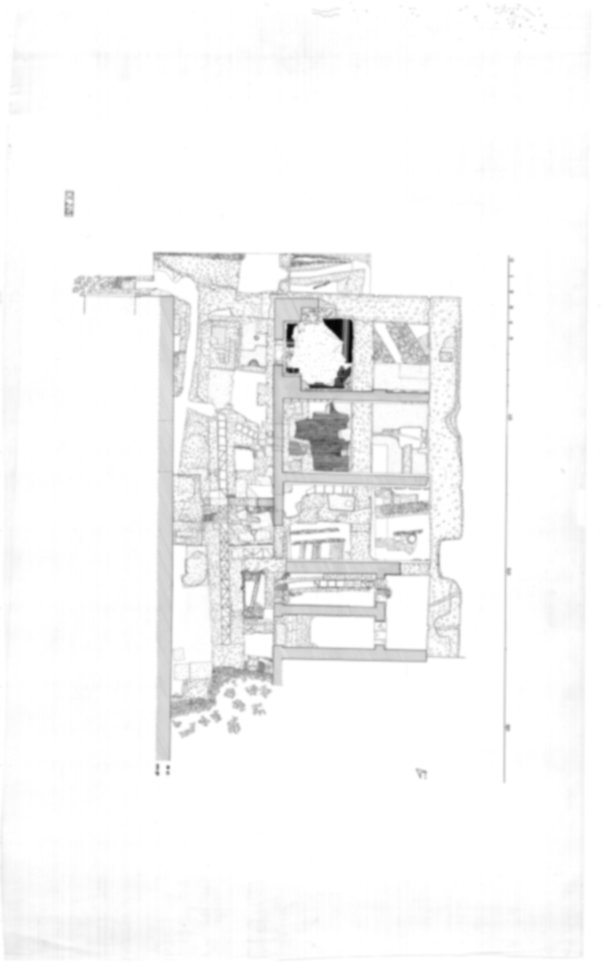 Roma, Palatino. Domus Tiberiana - Settore 20