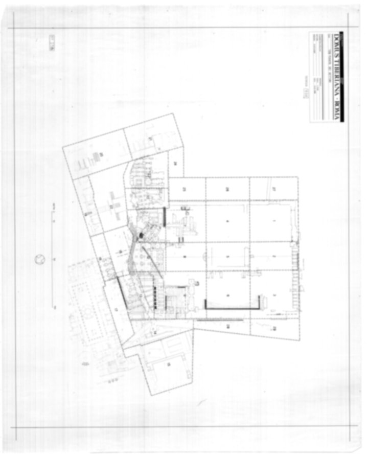 DT258 - Roma, Palatino. Domus Tiberiana
