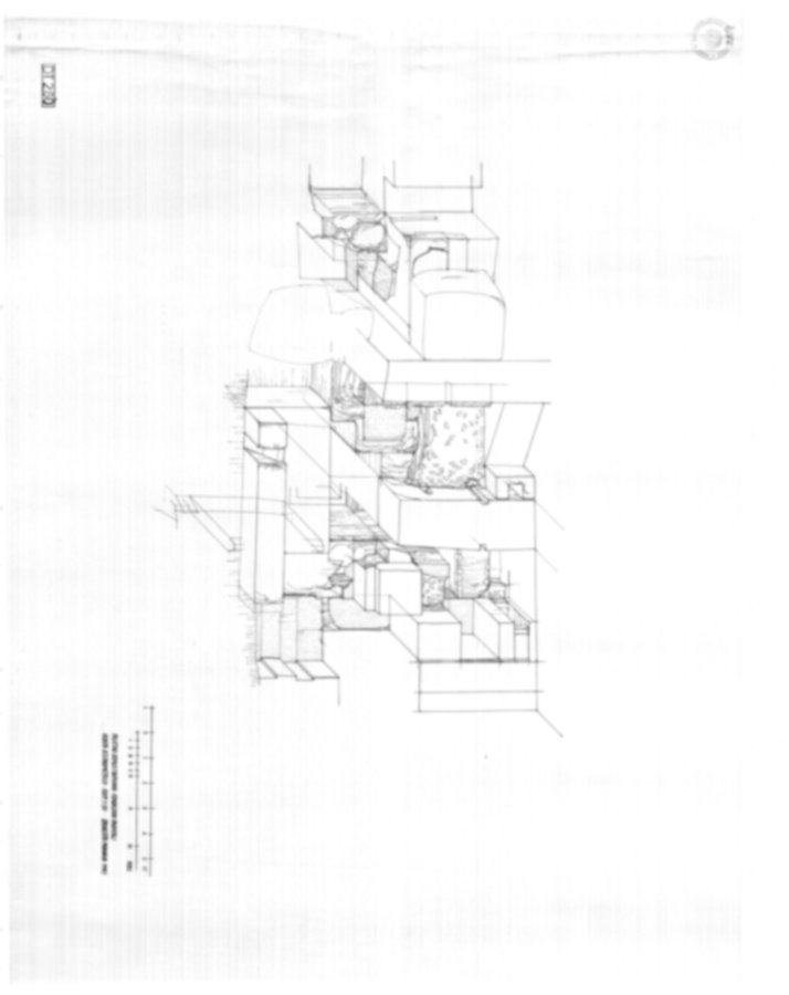 8266 - Roma, Palatino. Domus Tiberiana - Settore 9