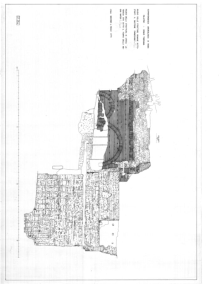 Roma, Palatino. Domus Tiberiana