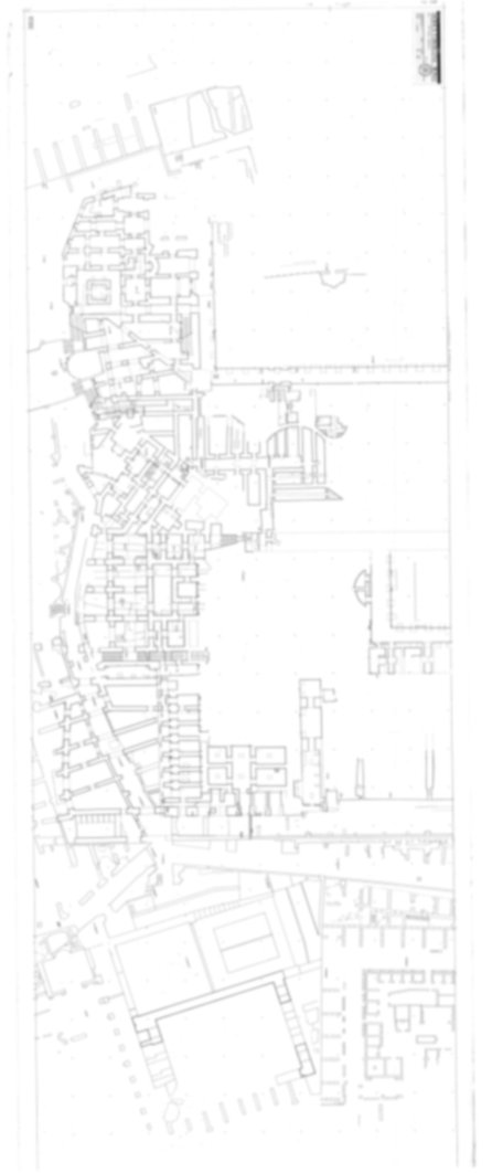 Roma, Palatino. Domus Tiberiana